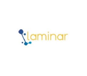 Laminar Consulting